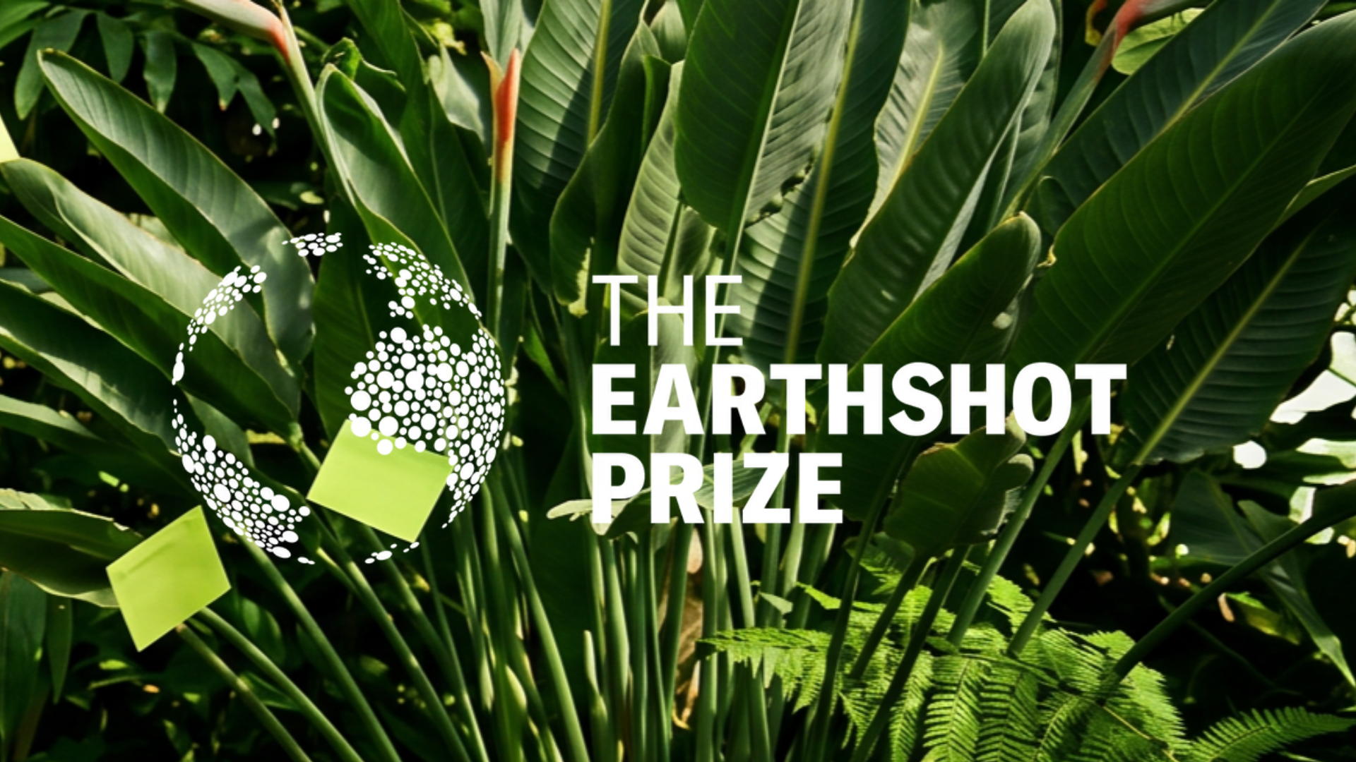 2026 Earthshot Prize nominee